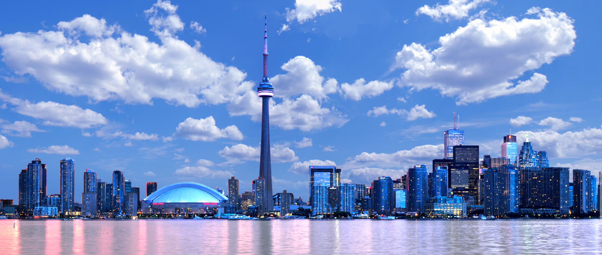 Fernando Ferreira Real Estate RE/MAX Ultimate Realty Inc., Brokerage